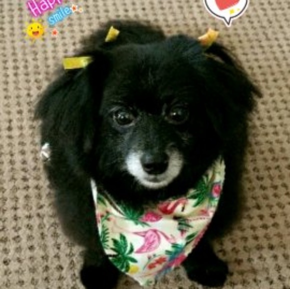 Miss Marley - Picture 7 of 9